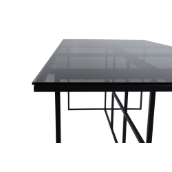 Leif Spisebord - rget glasplade og Sorte Jernben