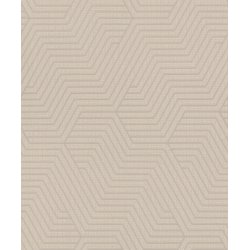 RASCH STUDIO 2027 DECO STYLE TAPET 0,53X10 M