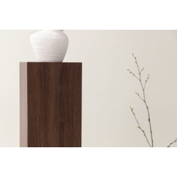 RAMSVIK Piedestal I Brun