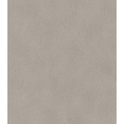 RASCH STUDIO 2027 GASELLE PELS TAPET 0,53X10 M