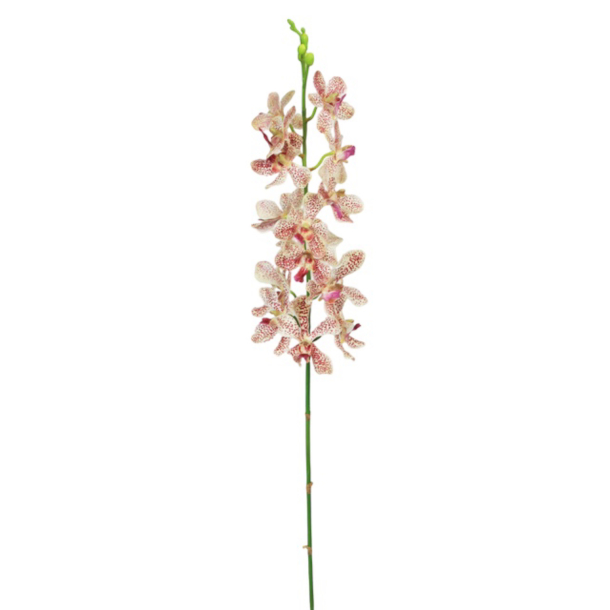 Kunstig Cattleya Orkid -70 cm 